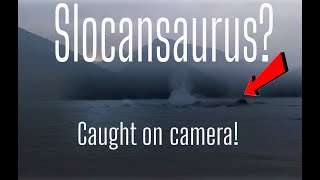 Lake Monster  Slocansaurus caught on camera real [upl. by Dodwell284]