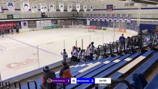 Minnetonka Bantam B1 Vs Chaska Chanhassen Gold [upl. by Yeldahc445]