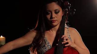 Peter Kater amp Tina Guo  Within Silence from Inner Passion [upl. by Raffaello]