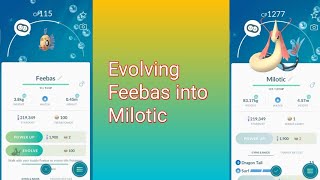 Evolving Feebas into Milotic  Pokemon Go [upl. by Odlanir]