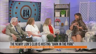 Newry Lions Club to host quotBark in the Parkquot 2024 WTAJ Studio 814 [upl. by Sturges898]