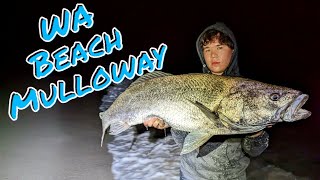 Mulloway Madness in the Surf  Beach Fishing North of Perth [upl. by Yedarb]