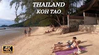 Koh Tao  Thailand  Street and Beach walk  Sairee Beach  4K [upl. by Arykahs157]