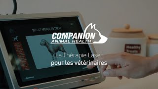 La thérapie Laser Companion® pour les vétérinaires [upl. by Earb]