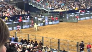 Houston Rodeo 2014 [upl. by Onileva]