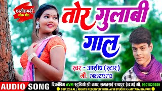 Ashish Star  Cg Song  Tor Gulabi Gaal  New Chhattisgarhi Gana  Cg Dj Song 2024  AVM TADKA [upl. by Nylssej289]