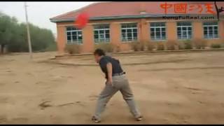 kung fu real jiu jie bian nine section whip practice [upl. by Nnitsuj]