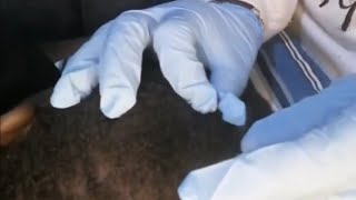 ASMR Relaxing Scalp Scratching amp Nitpicking Asmr Ear Cleaning To Help Him Sleep asmr live [upl. by Wolliw828]