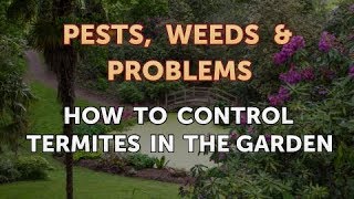 How to Control Termites in the Garden [upl. by Ariad409]