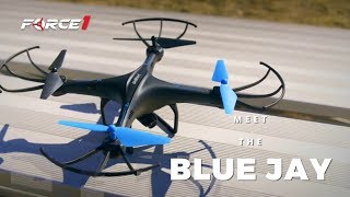 Fly TWO Scoot Drones at Once with Scoot Duo  Force 1 [upl. by Honeyman362]