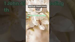 Spiritual Discernment Fact  What is Spiritual Discernment shorts [upl. by Keating357]