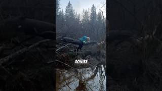 Wald Ausflug mit kleinem Bruder bruder wald ausland action natur bäume [upl. by Dnaloy909]