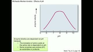 Medical Biochemistry Enzyme Kinetics Skildum [upl. by Anahsek493]