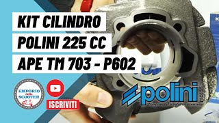 KIT CILINDRO POLINI 225cc APE TM 703 P602 ecc  emporiodelloscootercom [upl. by Vander114]