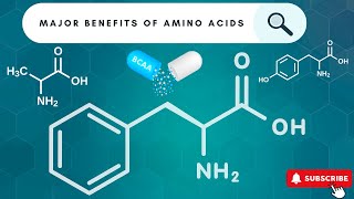 Understanding The Role Of Amino Acids This Is How They Work [upl. by Hartman361]