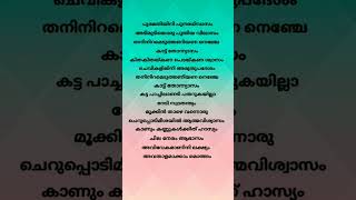 Mathapithakkale song lyrics  Aavesham  Jithu Madhavan  Fahad Fasil  Sushin Shyam  Nazriya Nazim [upl. by Atled854]