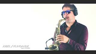 JUBEL  KLINGANDE  SAX COVER By Demián Arroyo [upl. by Llerehc]