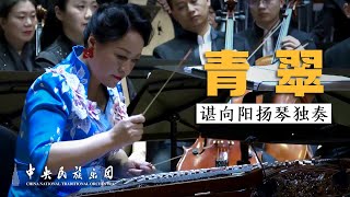 Yangqin 《青翠》 Shen Xiangyang  China National Traditional Orchestra [upl. by Claus980]