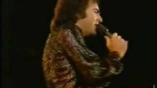 Neil Diamond  Dancing Bumblebee Live  subs en español [upl. by Claud]