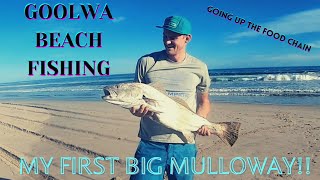 Goolwa Beach Fishing  South Australia My First Big Mulloway [upl. by Drofla]