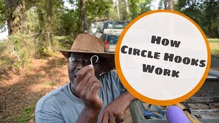 Circle Hook Demonstration  How Do Circle Fishing Hooks Work [upl. by Ledba215]