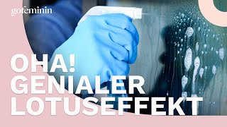 Genialer Lotuseffekt Deshalb solltest du deine Dusche mit Klarspüler reinigen [upl. by Ajnin]