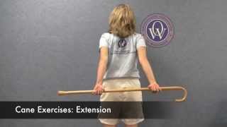 Total Shoulder Replacement Post Operative Exercises [upl. by Aicital]