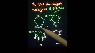 Steps to write the structure of BetaDribose It is the sugar moiety in RNA Tushar Sirs Chemistry [upl. by Renfred]