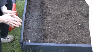 How to sow Carrot seeds [upl. by Arymat]