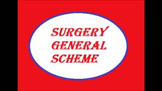 1Surgery General Scheme [upl. by Granniah803]