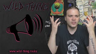 Mein Problem mit Dungeon Synth  Wild Thing  Diskussion [upl. by Tocs]