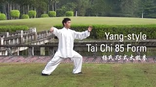 YangStyle Tai Chi 85 Form  Part 1 杨氏85式太极拳 [upl. by Assennej]