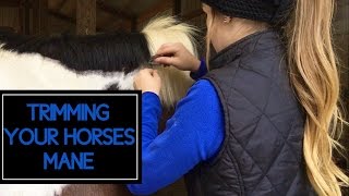 How to Trim Your Horses Mane [upl. by Yhtuv]