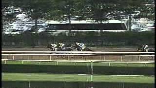 Touch Gold  1997 Belmont Stakes [upl. by Nnylatsyrc745]