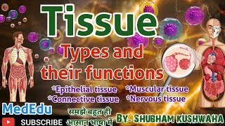 Tissue Types and their functions  EpithelialConnectiveMuscularNervous tissueHAP [upl. by Brazee]