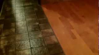 Birch Engineered Wood Floor Installation Full Project HD [upl. by Raval206]