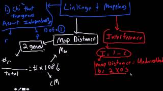 linkage and mapping conceptual and equations [upl. by Gianna]