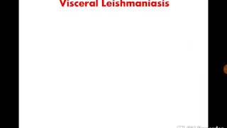 Visceral leishmaniasis dr noha madbouly [upl. by Naejeillib475]