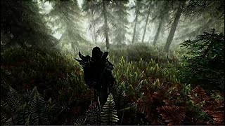 SKYRIM PS5  Ultimate Mod load order [upl. by Einnaej]