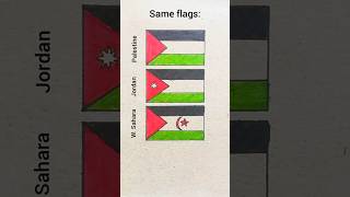 same flags  Jordan🇯🇴 save Palestine🇵🇸 western Sahara flag colouring palestine jordan flag [upl. by Eiramasil]