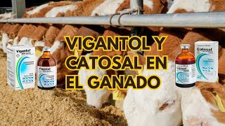 Vitaminas para mejorar la producción en el ganado 🐂🐑🌱🤠 [upl. by Elconin545]