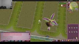 Thanksgiving Tuna amp Sweetcorn Nonironman Ironman Challenge with Tith Grape Seed Farming [upl. by Ahsinirt]