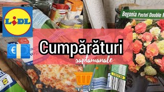 Cumpărături saptamanale 2 in 1 Lidl 1623 martie 2019 💶🛒 [upl. by Elamrej]