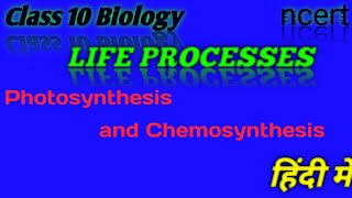 Life Processesclass 10 SciencePhotosynthesis and Chemosynthesis [upl. by Jen]