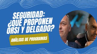 Seguridad ¿Qué proponen Orsi y Delgado [upl. by Alleb]