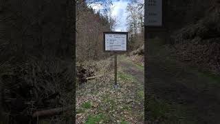 Nature Park Palatinate Forest in Esthal Germany Trail going to Breitenstein Mountain Ruins 🌳🌲🏞️ [upl. by Utica804]