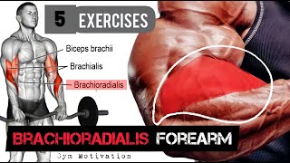 Best 5 Exercises quotBRACHIORADIALIS FOREARMquot Workout  SHREDDED BODY [upl. by Seline548]