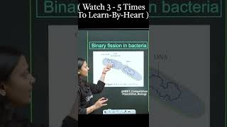 quot Binary Fission in Bacteria quot With QuickShot Biology  Poonam  shorts neet biology neet2024 [upl. by Nhguav]