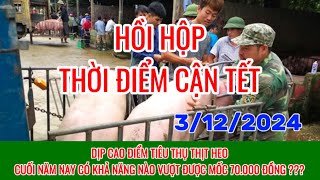 Giá heo hơi ngày 3122024  HỒI HỘP GIÁ THỊT HEO CẬN TẾTCAO ĐIỂM TIÊU THỤ [upl. by Yatnoed]