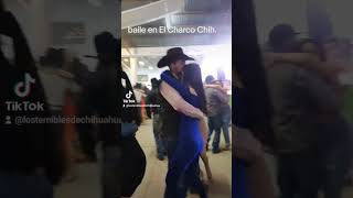 bailando con Temibles de chihuahua [upl. by Tabber641]